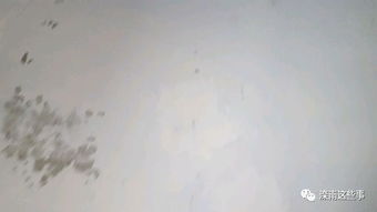 水質涂料治理小廣告 效果真的好嗎？